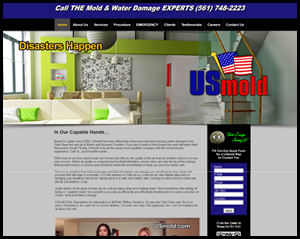 webdesign, web design South Daytona